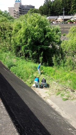 DSC_0260.jpgのサムネール画像