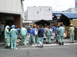 P1000037.JPGのサムネール画像