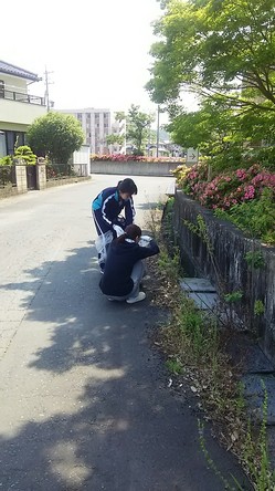 H28.5.21 本社清掃活動_1854.jpg