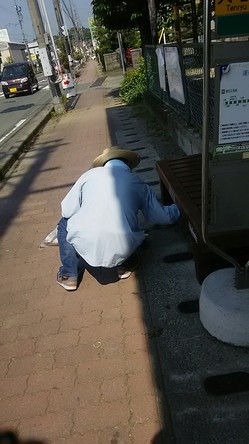 H28.5.21 本社清掃活動_654.jpg