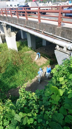 H28.10.22 本社清掃活動_8562.jpg