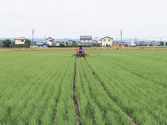 株式会社溝口商店